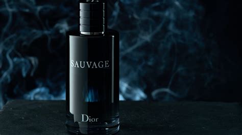 dior sauvage 匂い|More.